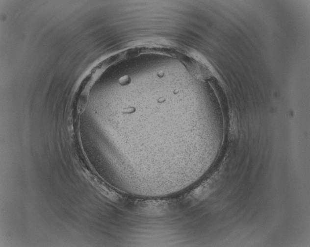 X0000077400923200611032023