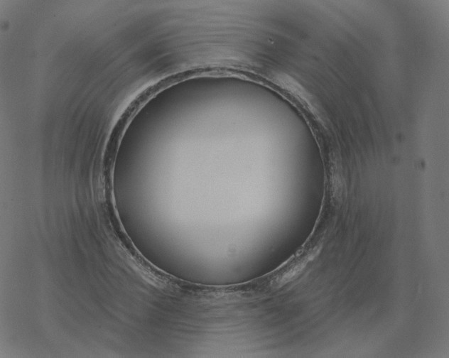 X0000077400924200611032023