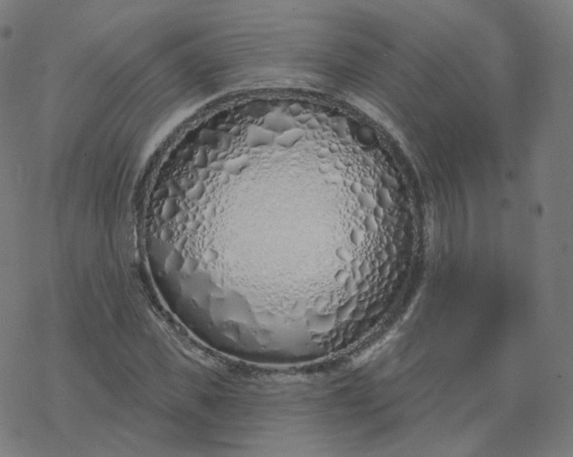 X0000077400925200611032023