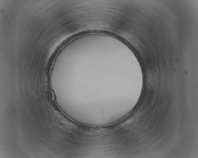 X0000077400926200611032023