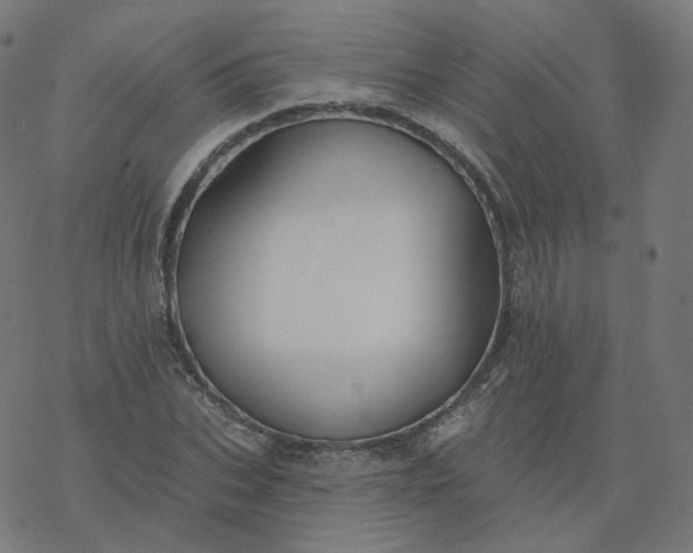 X0000077400927200611032023