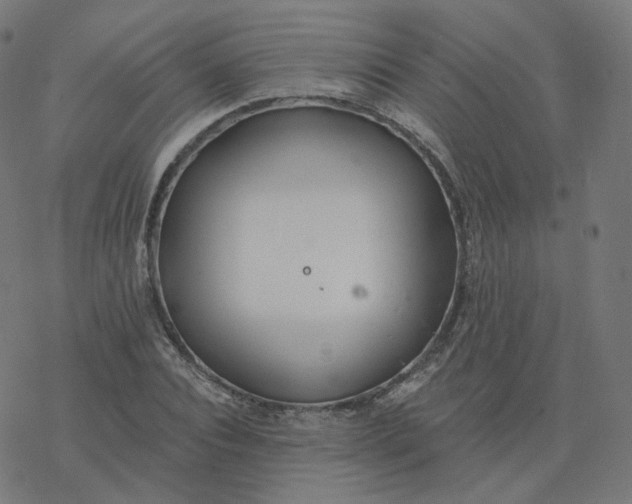 X0000077400928200611032023