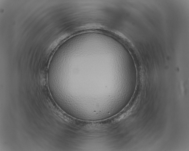 X0000077400929200611032023