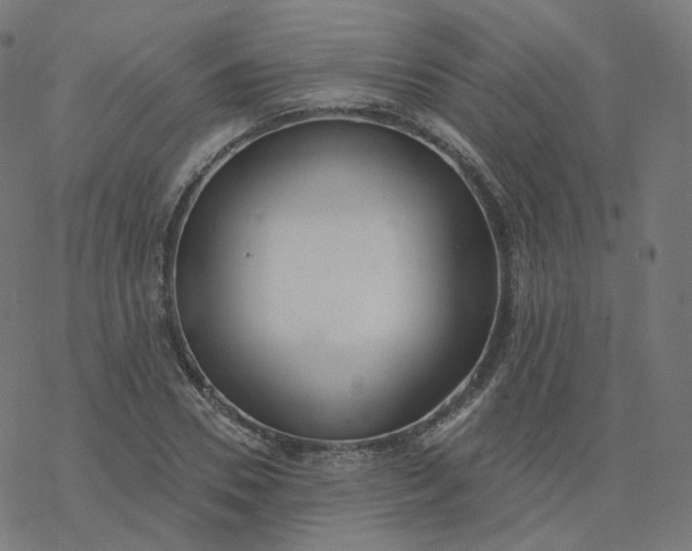 X0000077400930200611032023