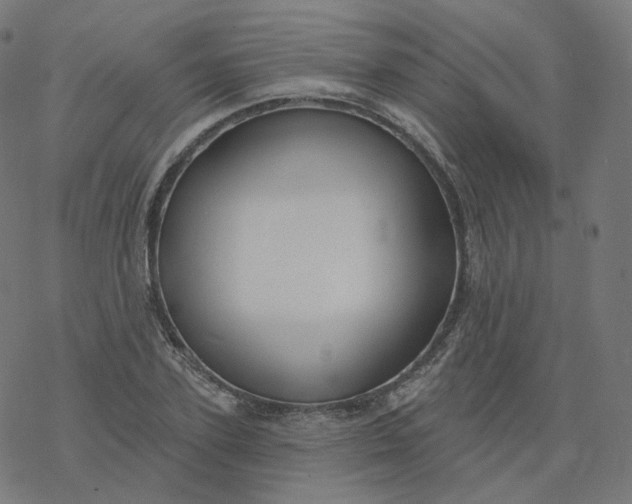 X0000077400931200611032023