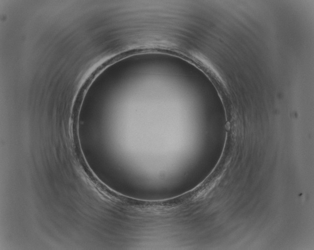 X0000077400932200611032023