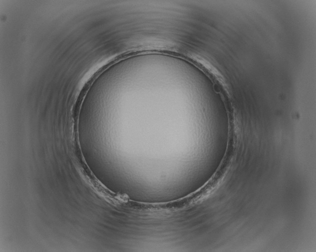 X0000077400933200611032023