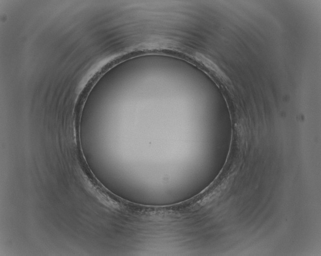 X0000077400934200611032023