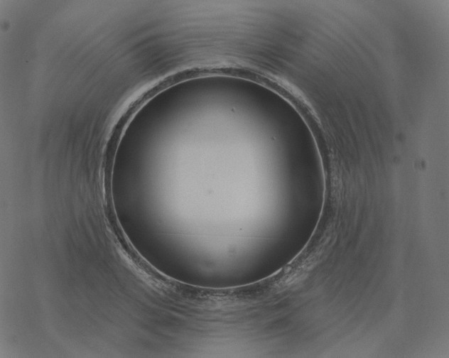 X0000077400935200611032023