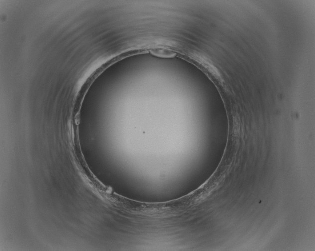 X0000077400936200611032023