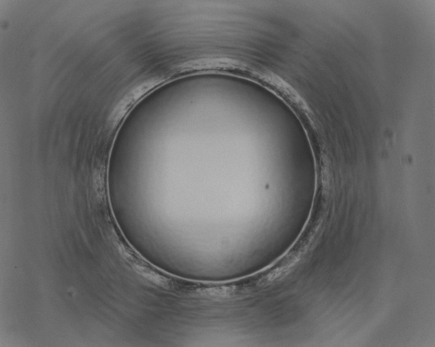 X0000077400937200611032023