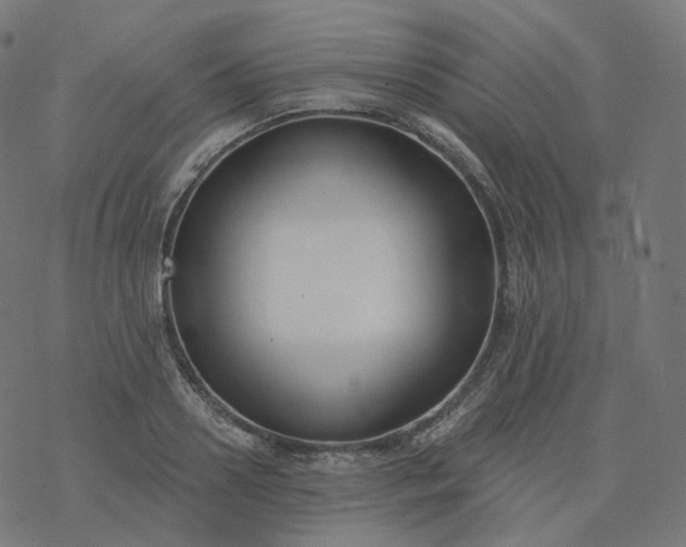 X0000077400938200611032023