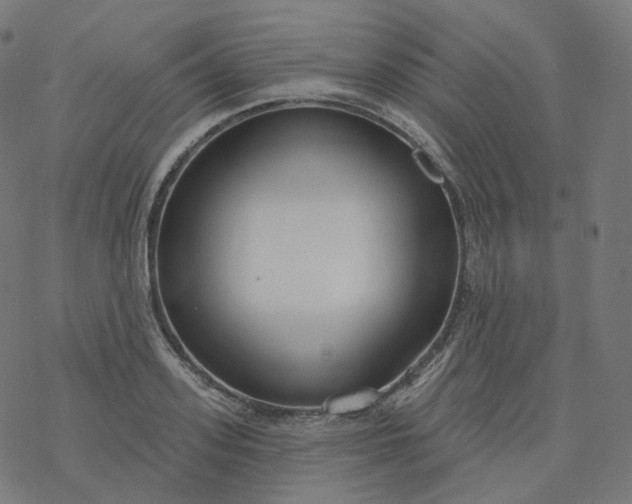 X0000077400939200611032023