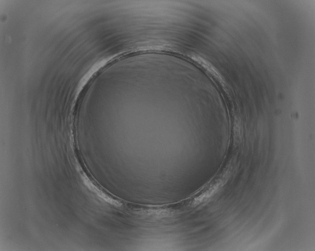 X0000077400941200611032023