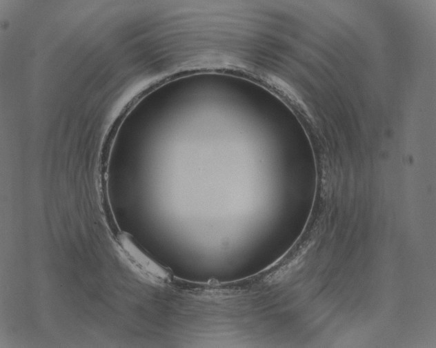 X0000077400942200611032023