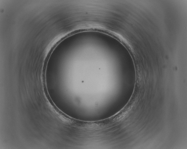 X0000077400943200611032023