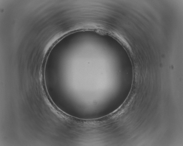 X0000077400944200611032023