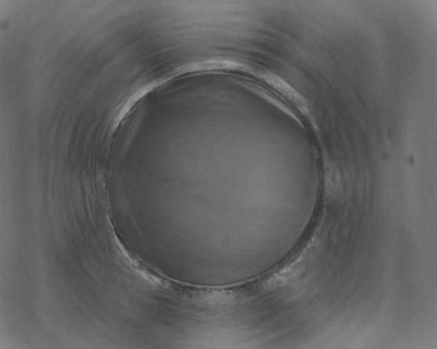 X0000077400945200611032023