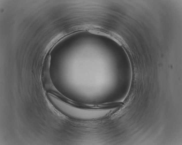 X0000077400946200611032023