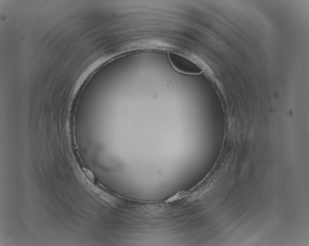 X0000077400947200611032023