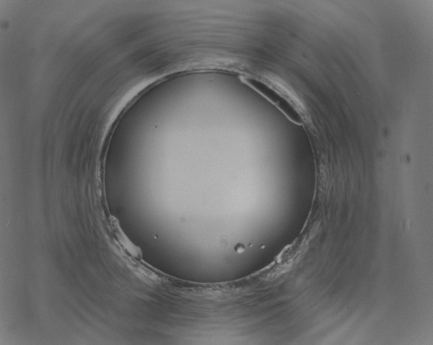 X0000077400948200611032023