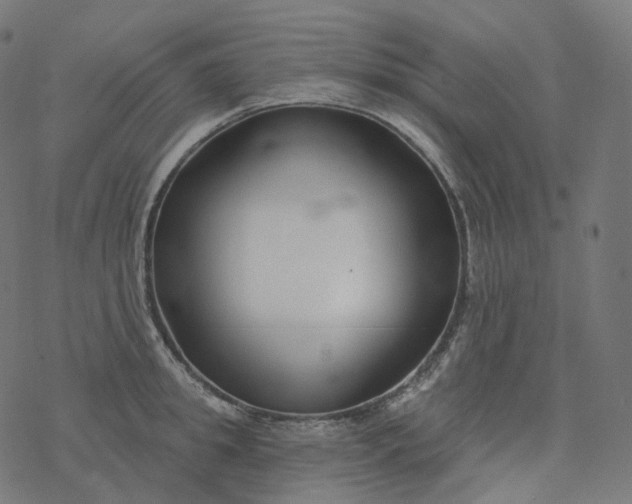 X0000077400949200611032023