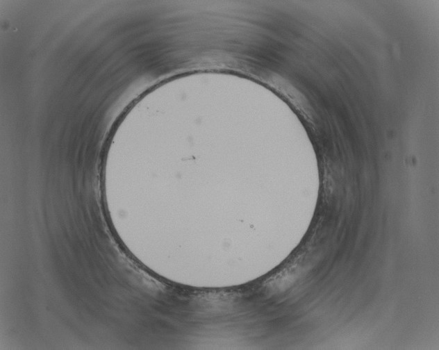 X0000077400950200611032023