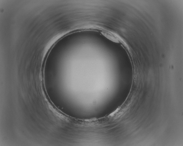 X0000077400951200611032023