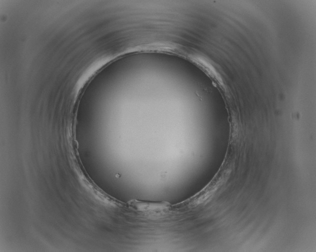 X0000077400952200611032023