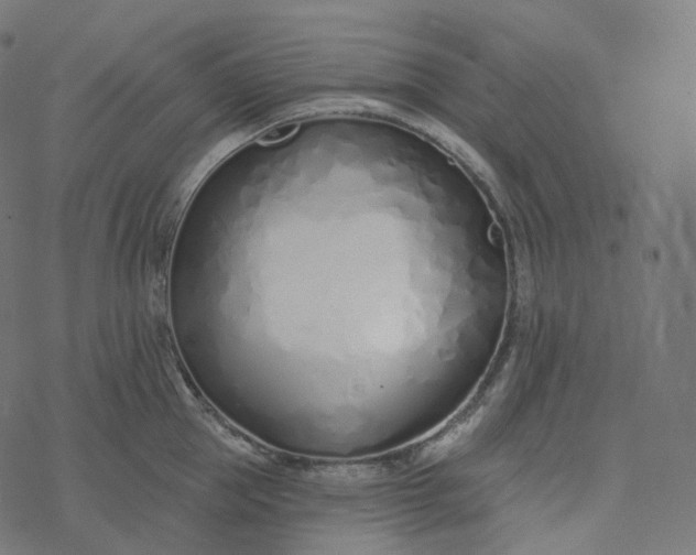 X0000077400953200611032023