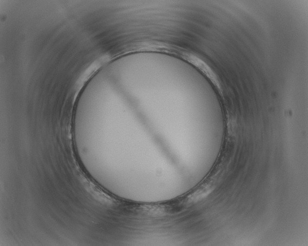 X0000077400954200611032023