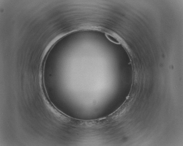 X0000077400955200611032023