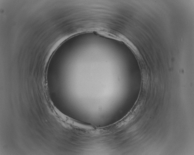 X0000077400956200611032023