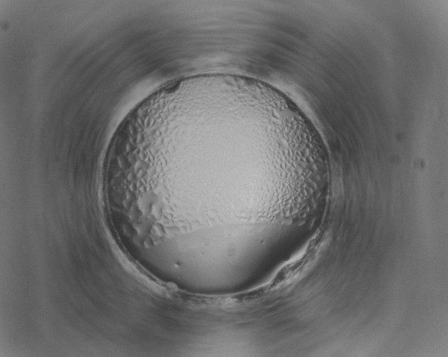 X0000077400957200611032023