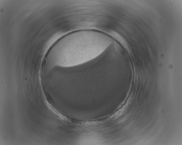 X0000077400958200611032023