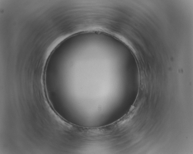 X0000077400959200611032023