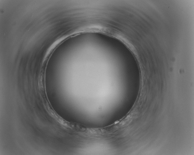 X0000077400960200611032023