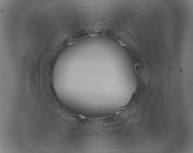 X0000077400961200611032022