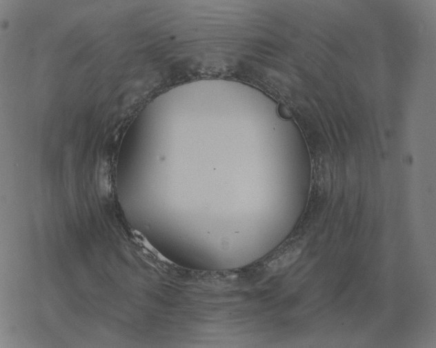 X0000077400962200611032022