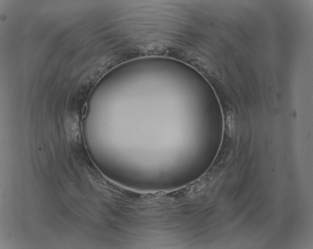 X0000077400963200611032022