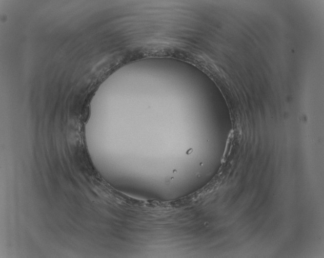 X0000077400964200611032022