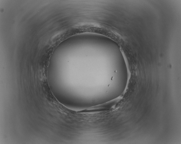 X0000077400965200611032022