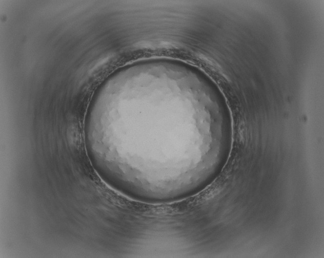 X0000077400966200611032022