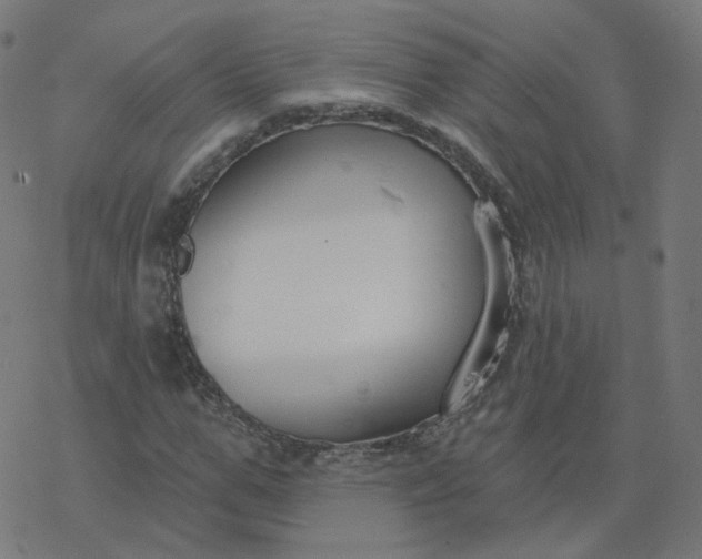 X0000077400967200611032022