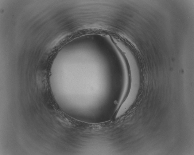 X0000077400968200611032022