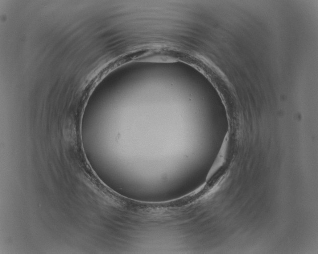 X0000077400969200611032022