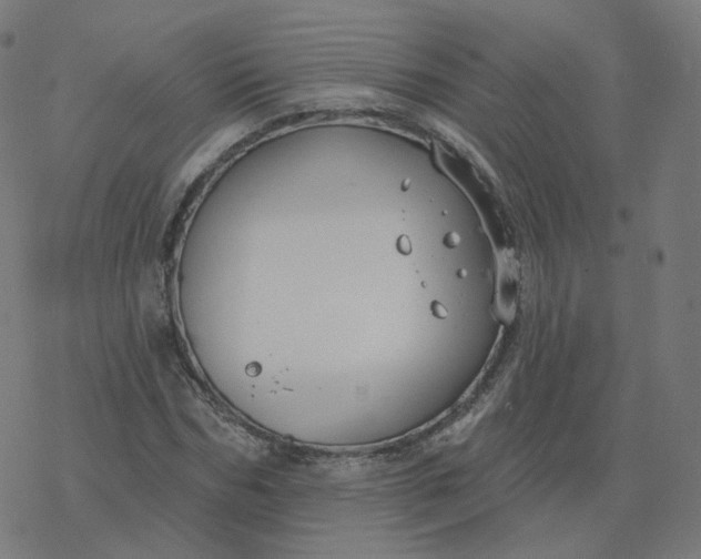 X0000077400970200611032022