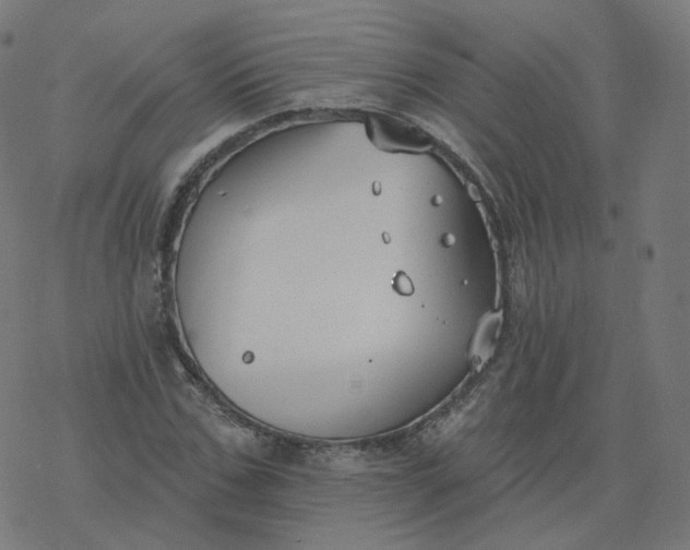 X0000077400971200611032022