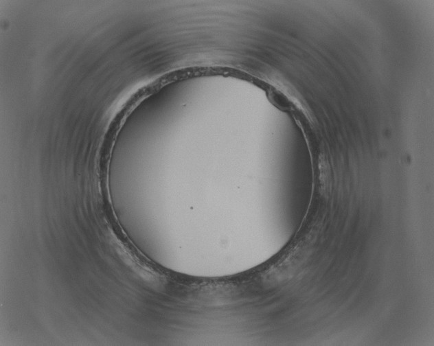 X0000077400972200611032022