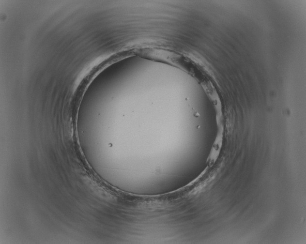 X0000077400973200611032022